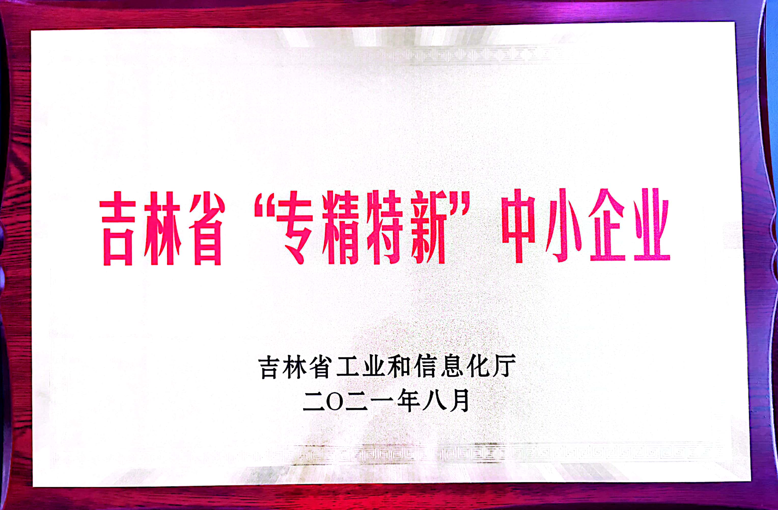 吉林省“專精特新”中小企業(yè)